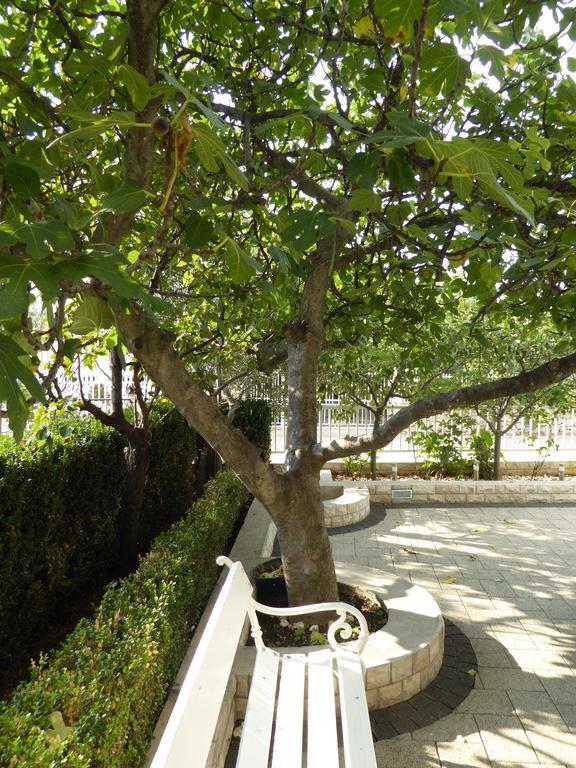 Apartments Bojanic Vodice Exterior foto